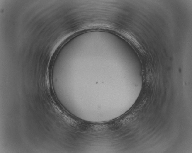 X0000077280888200611031522