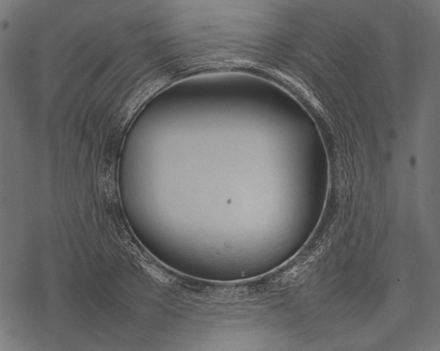 X0000077280889200611031522