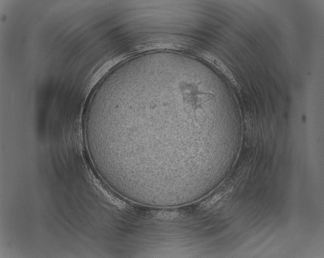 X0000077280890200611031522