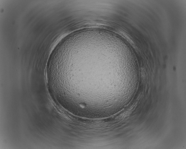 X0000077280891200611031522