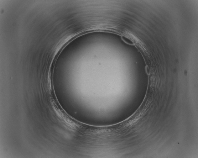 X0000077280892200611031522