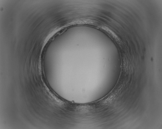 X0000077280894200611031522