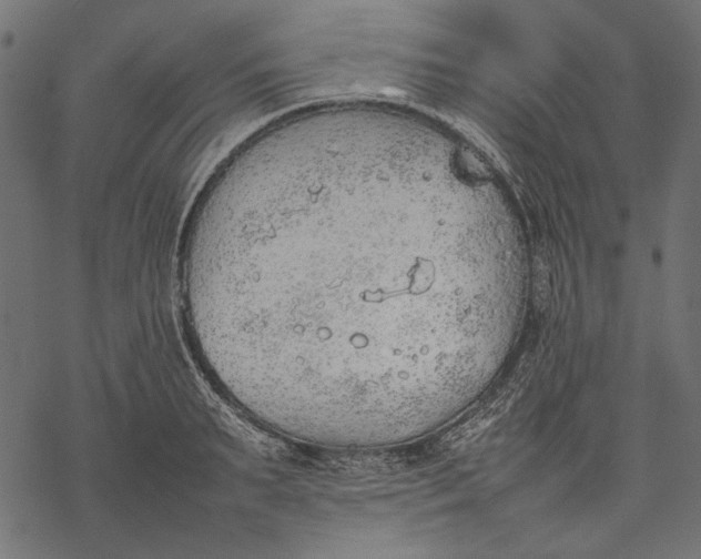 X0000077280895200611031522