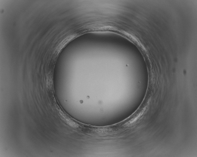 X0000077280897200611031522