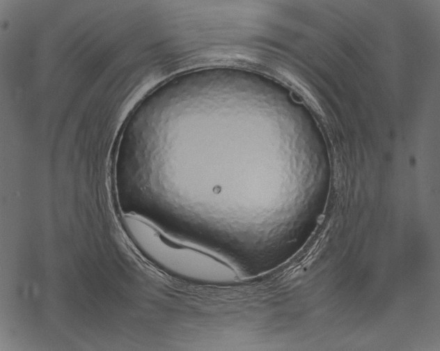 X0000077280899200611031522