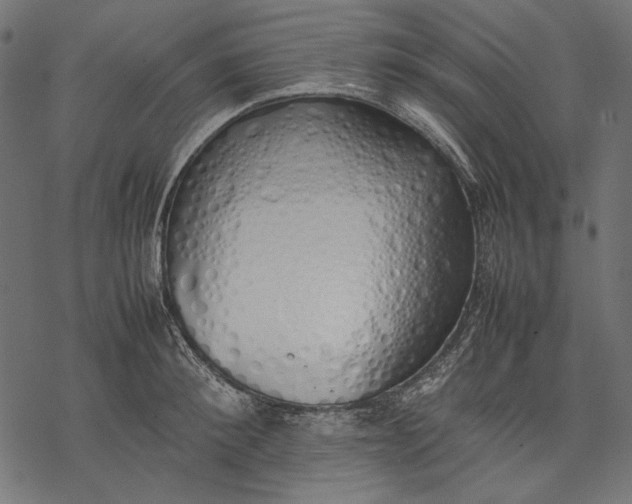 X0000077280900200611031522