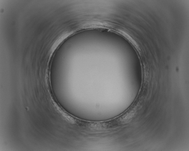 X0000077280901200611031522