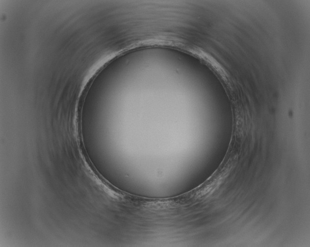 X0000077280902200611031522