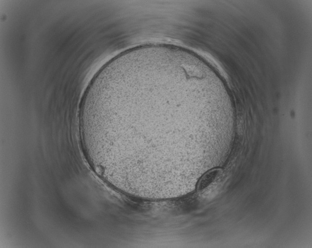 X0000077280903200611031522