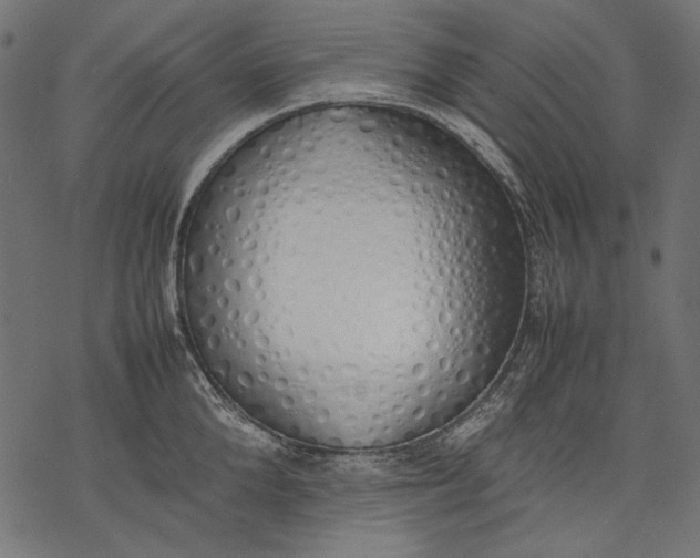 X0000077280904200611031522