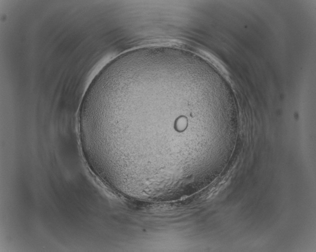 X0000077280907200611031522