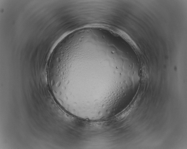 X0000077280908200611031522