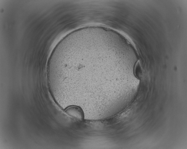 X0000077280911200611031522