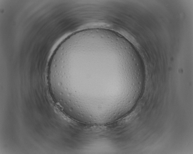 X0000077280912200611031522