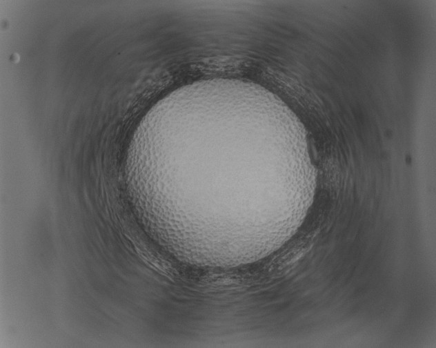 X0000077280913200611031521