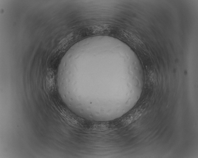 X0000077280914200611031521