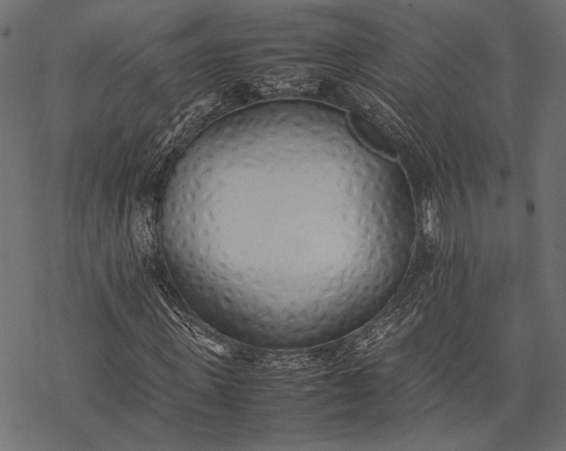 X0000077280915200611031521