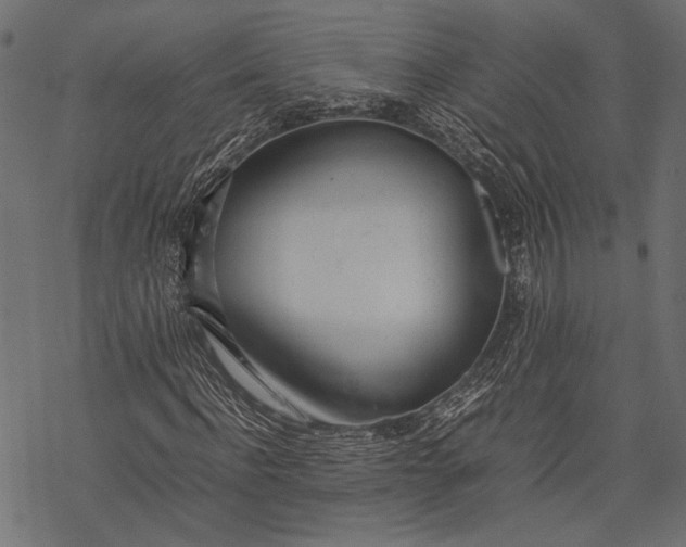 X0000077280916200611031521