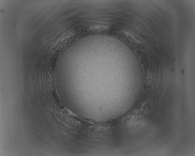 X0000077280917200611031521