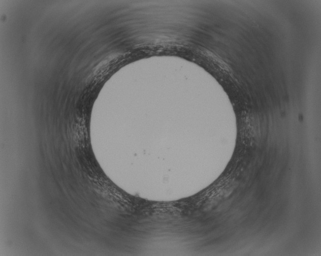 X0000077280918200611031521