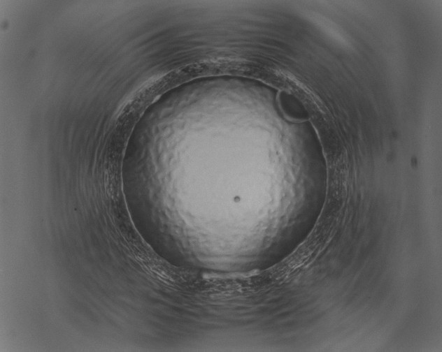 X0000077280919200611031521