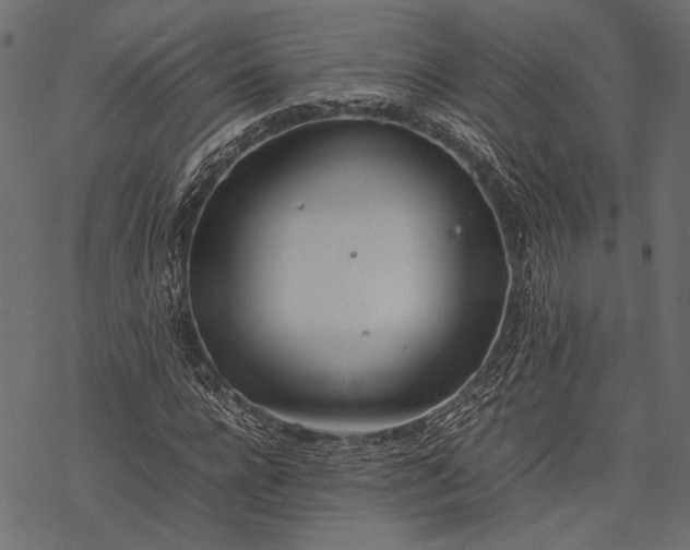 X0000077280920200611031521