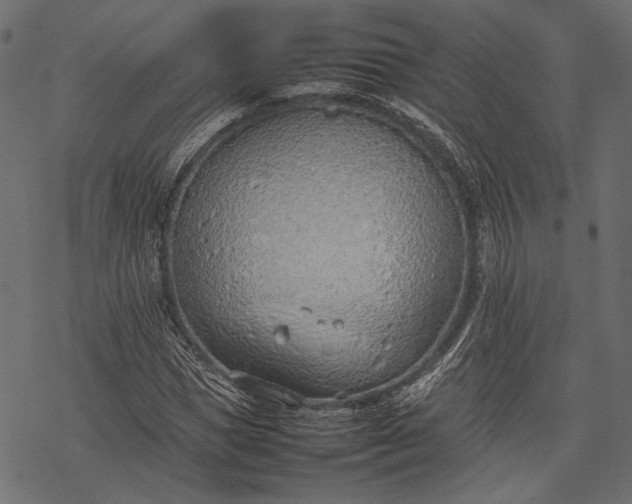 X0000077280921200611031521