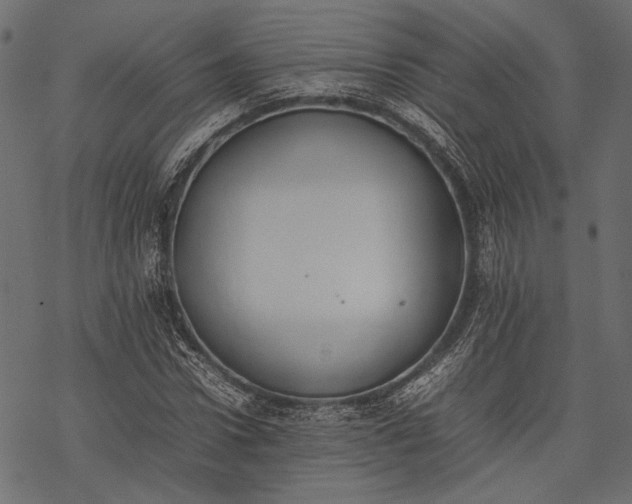 X0000077280922200611031521