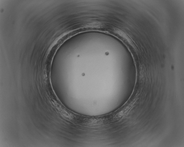 X0000077280923200611031521