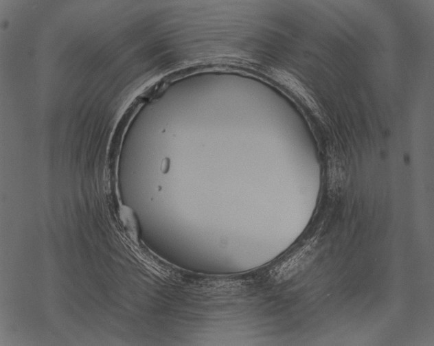 X0000077280924200611031521