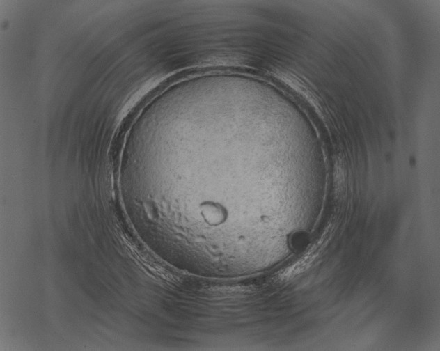 X0000077280925200611031521