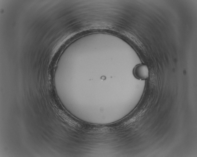 X0000077280926200611031521