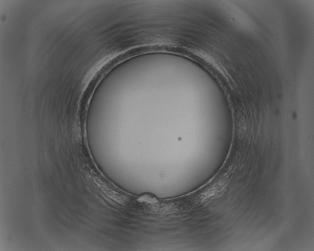 X0000077280927200611031521