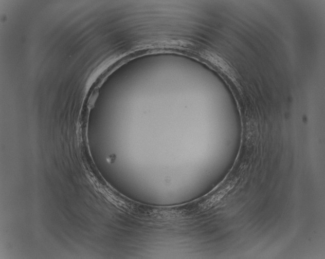 X0000077280928200611031521