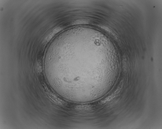 X0000077280929200611031521