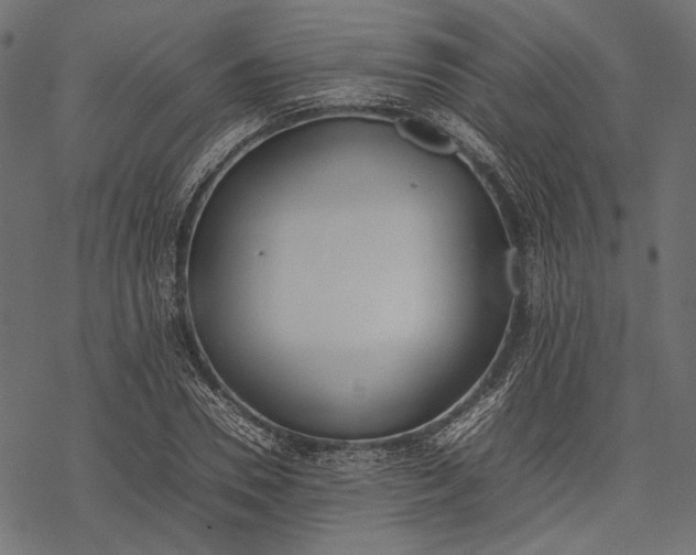 X0000077280930200611031521