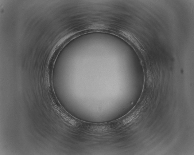 X0000077280931200611031521