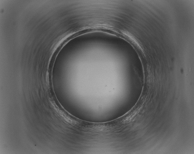 X0000077280932200611031522