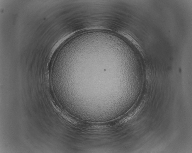 X0000077280933200611031522