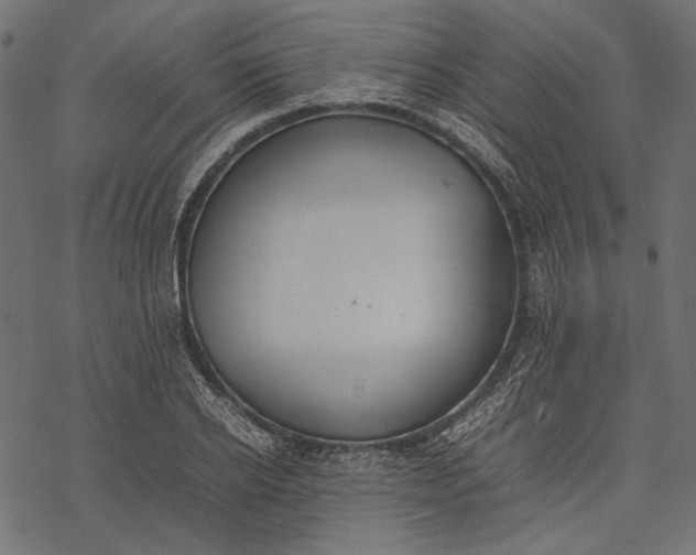 X0000077280934200611031522