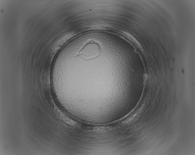 X0000077280938200611031522