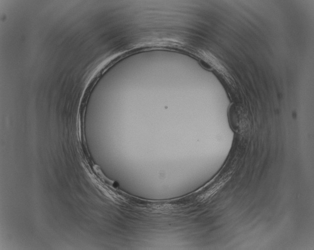 X0000077280940200611031522