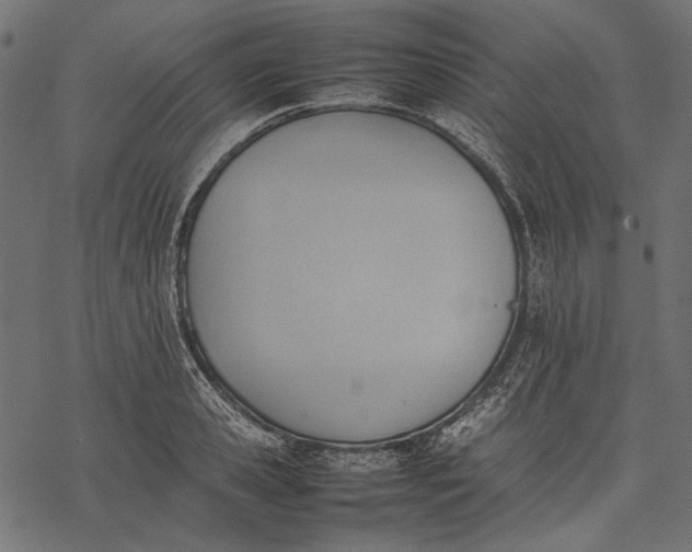 X0000077280941200611031522