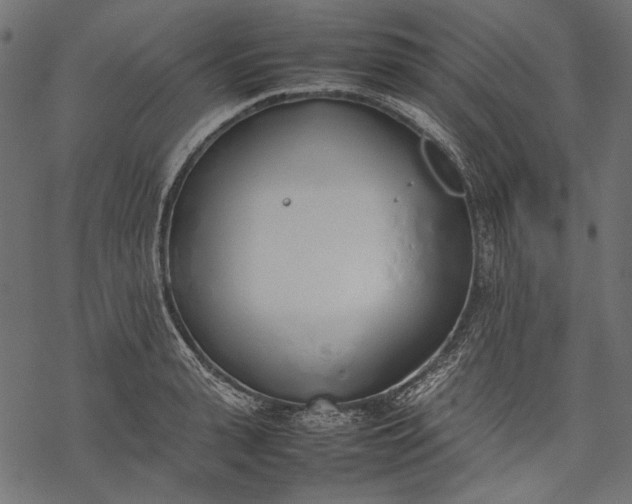 X0000077280943200611031522