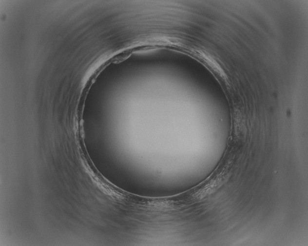 X0000077280944200611031522