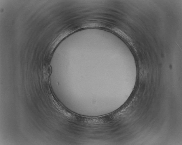 X0000077280945200611031522