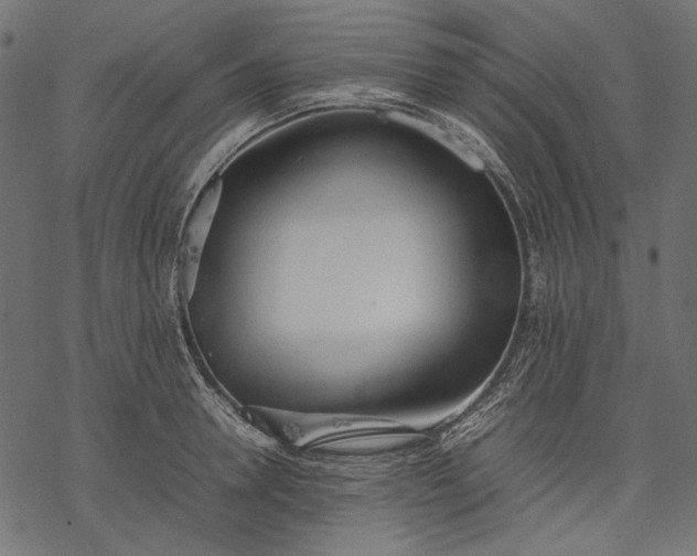 X0000077280946200611031522