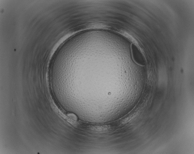 X0000077280947200611031522