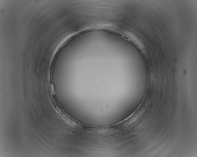 X0000077280948200611031522