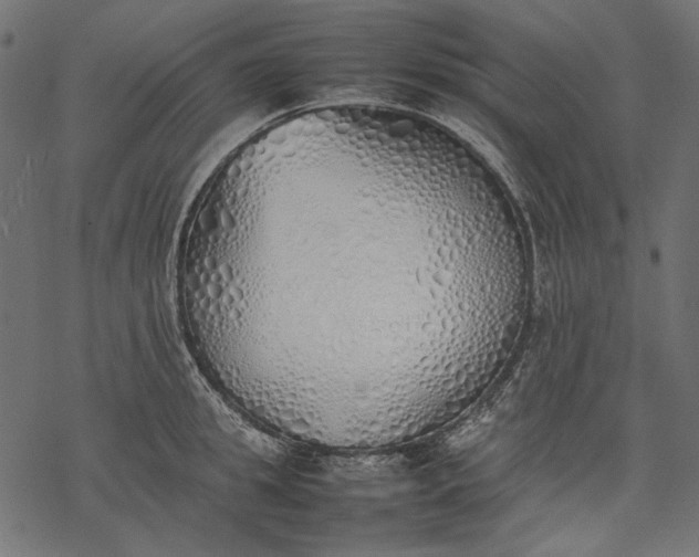 X0000077280949200611031522